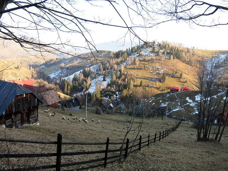 Bran Castle to Magura village – hiking in Romania