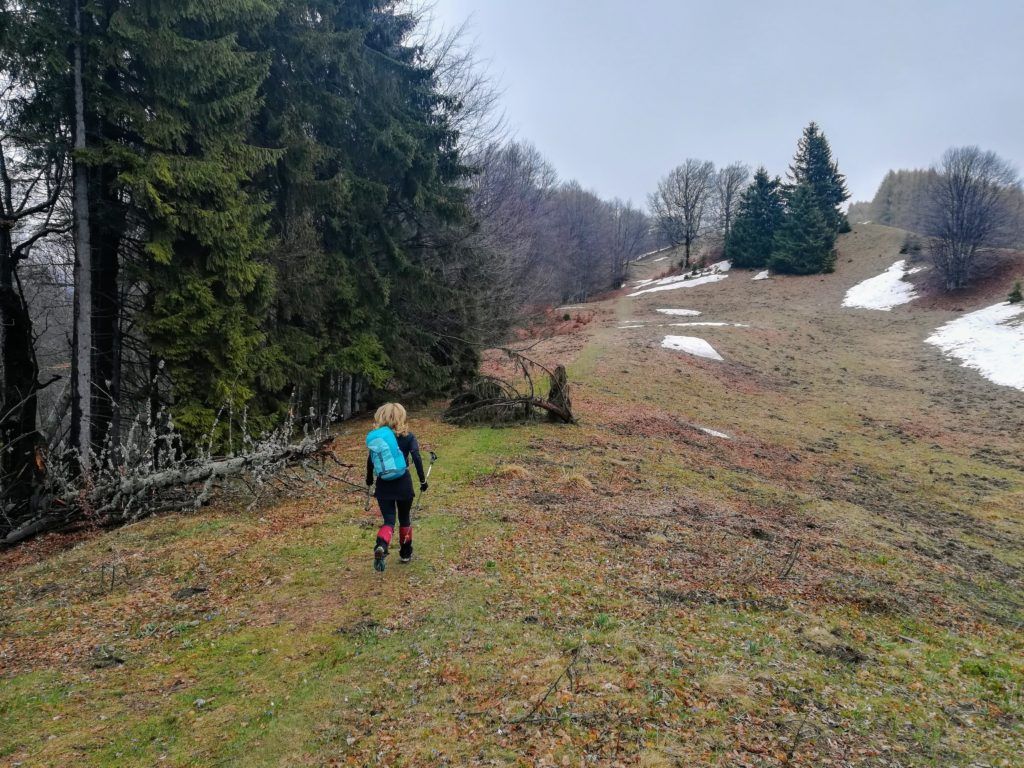 Start of the trail - hiking towards Piscul Cainelui peak