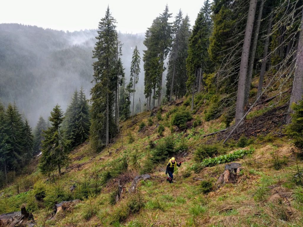 Hiking in the mist of morning in the Bucegi Mountains