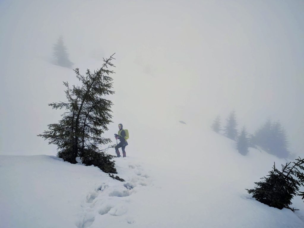 Thick fog after we exited the forest