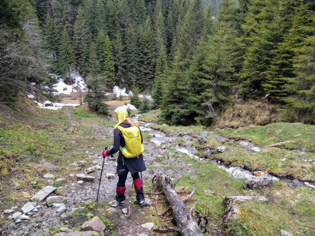 We crossed a few creeks in the Bucegi Mountains
