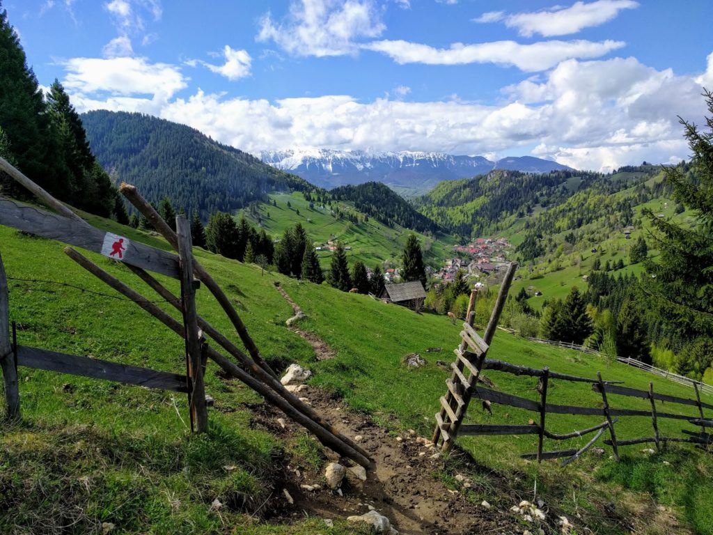 Hiking in Moieciu de Sus, Romania