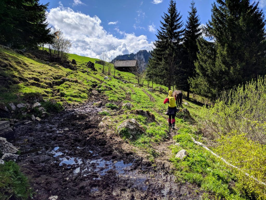 Hiking in Moieciu de Sus, Romania