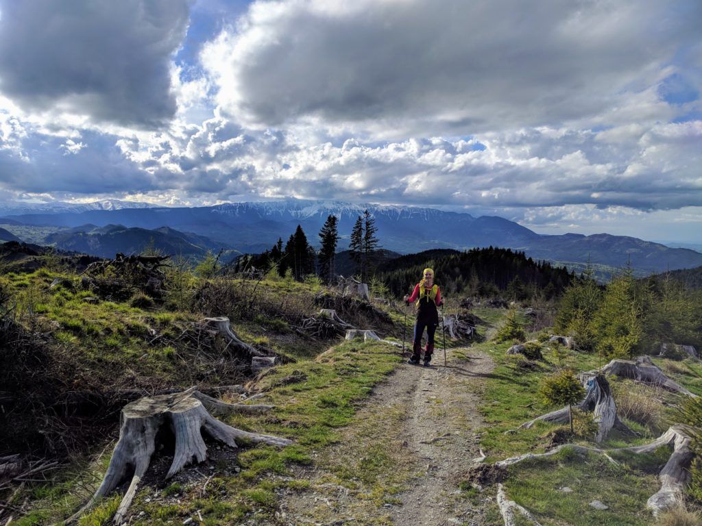 Piatra Craiului Mountains in the distance