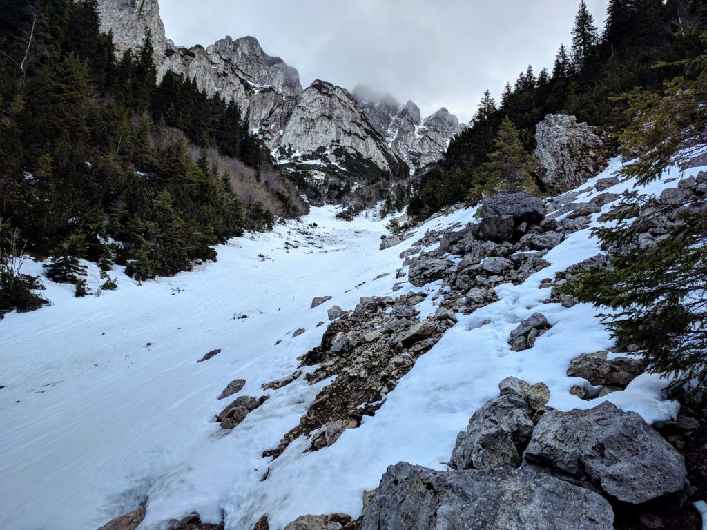 Bucegi Mountains - bear encounter