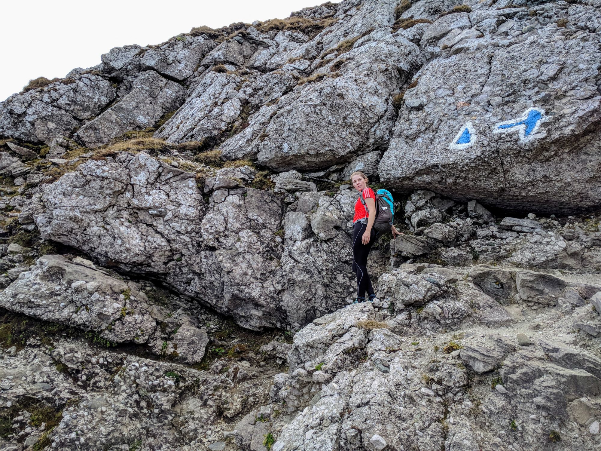 Brâna Caprelor - Brâul Ciorânga. Piatra Craiului, difficult hike