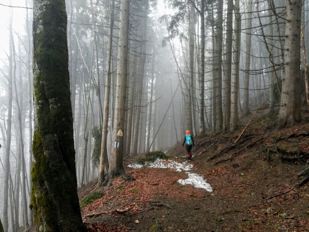 Hiking through the forest towards Cabana Diham