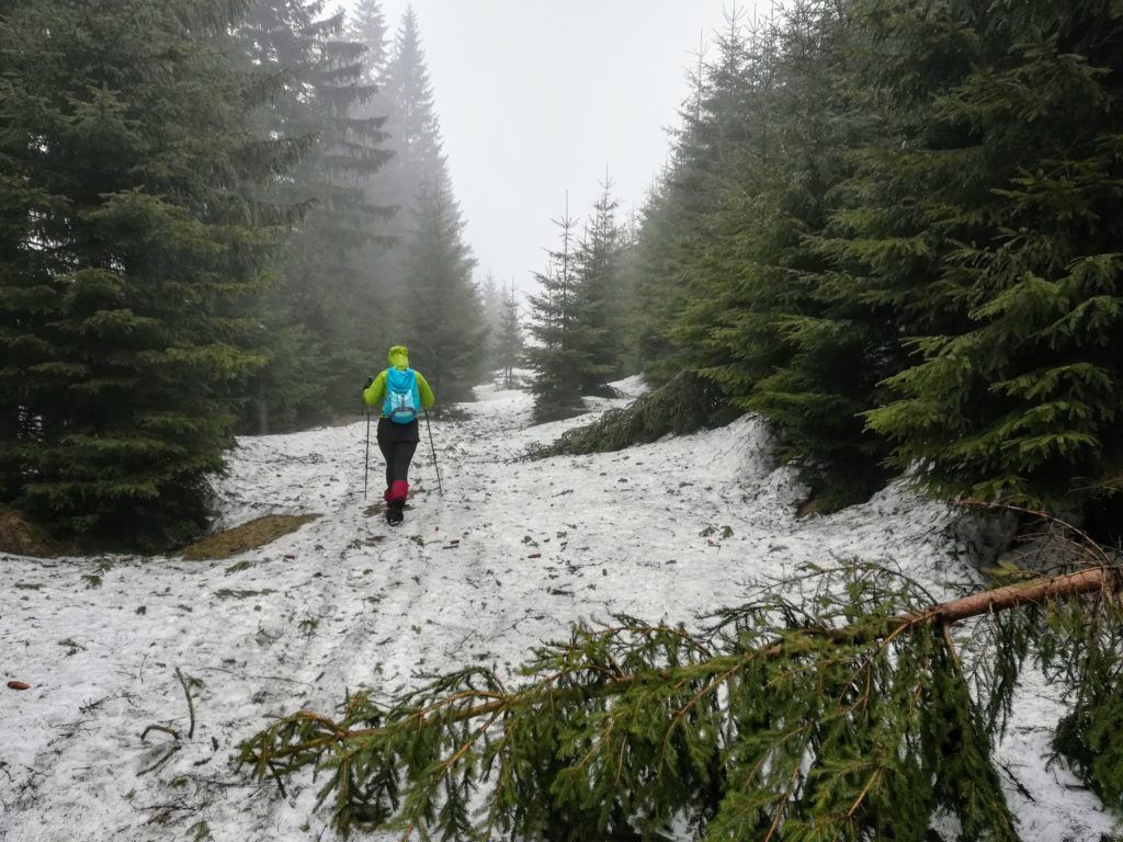 Hiking near Cabana Diham in Bucegi Mountains