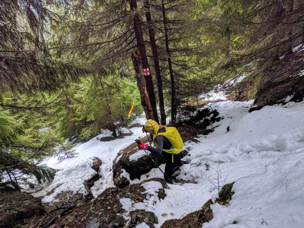 Descending through the forest