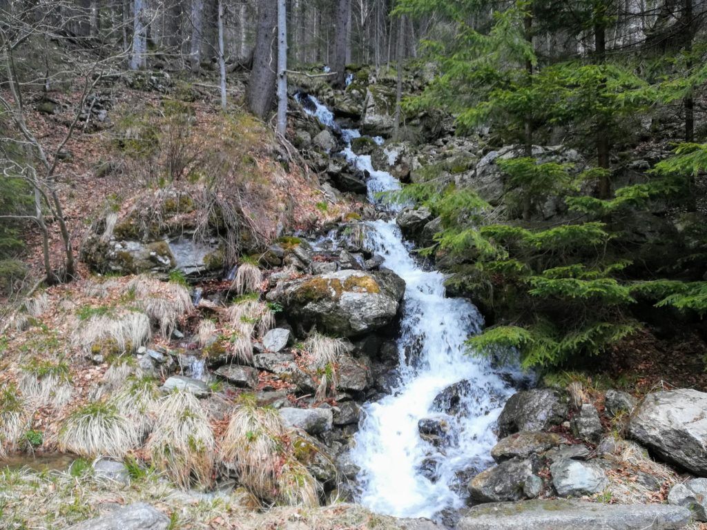 There are several small waterfalls on side of the road towards Cabana Buta