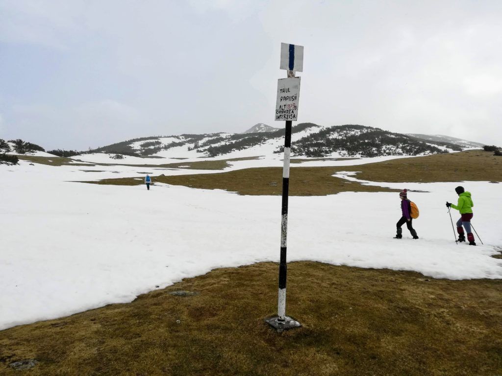 The signpost at Taul Papusii (1970 m)