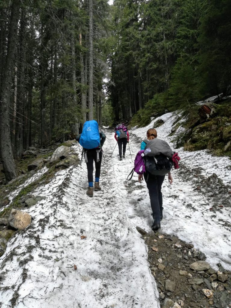 As we gained altitude, there was more and more snow on the forest road