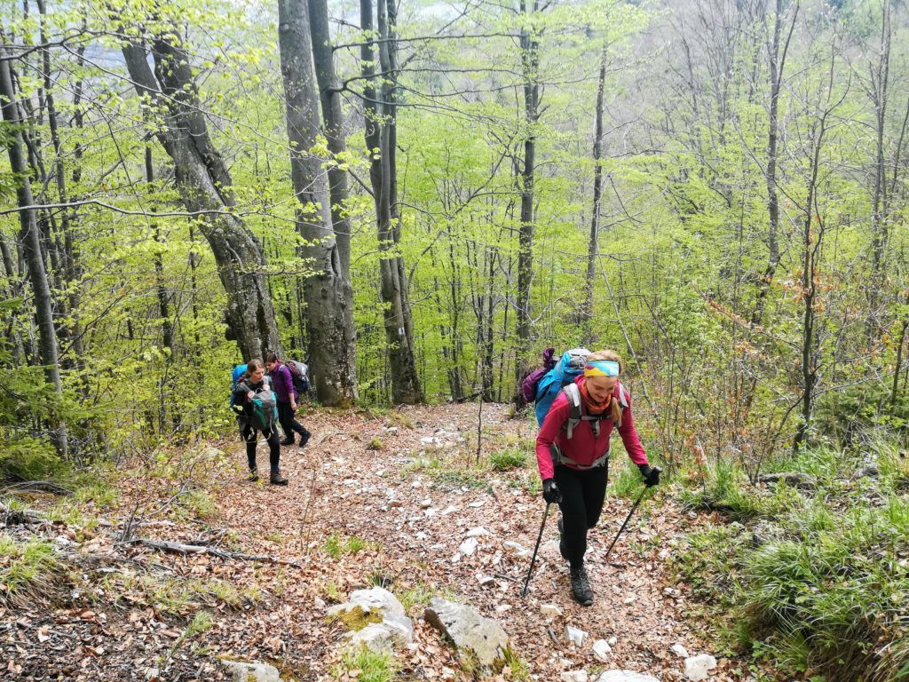 The hike begins with a steep ascent through the forest