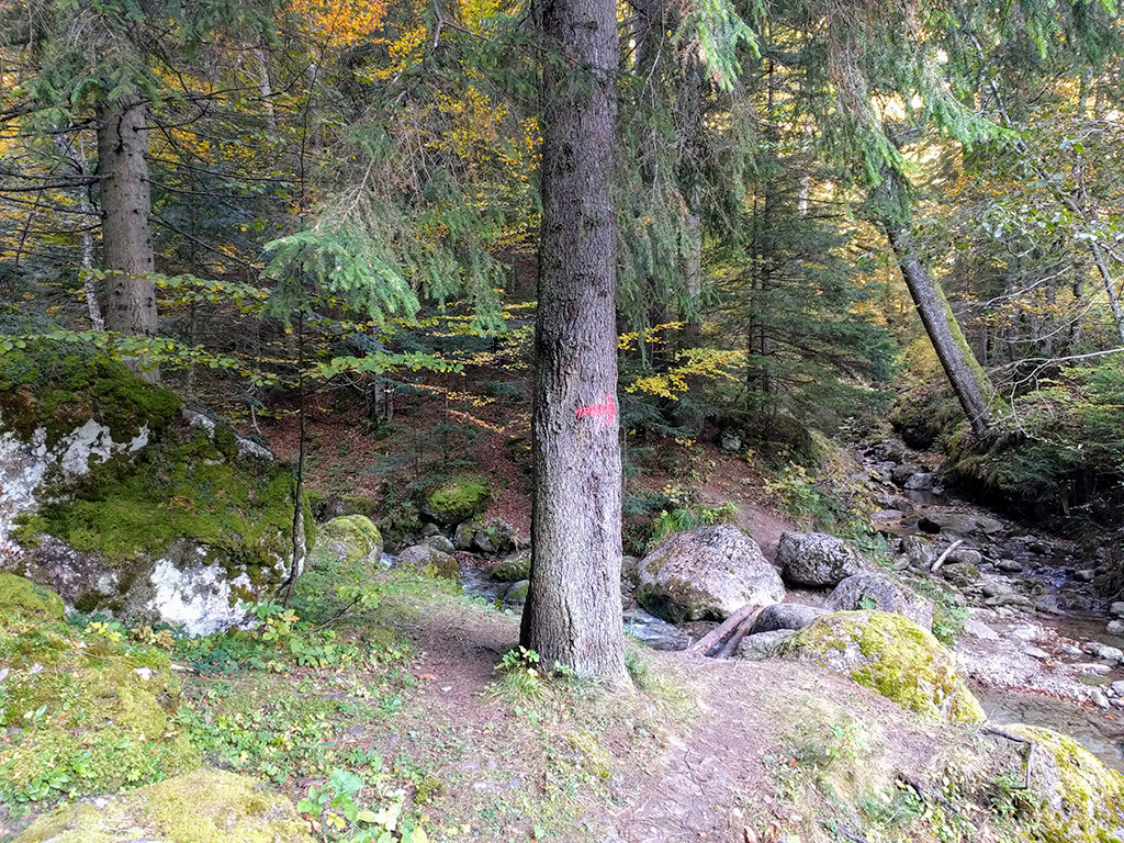 Morarului Valley – a spectacular and wild trail towards the summit of Bucegi