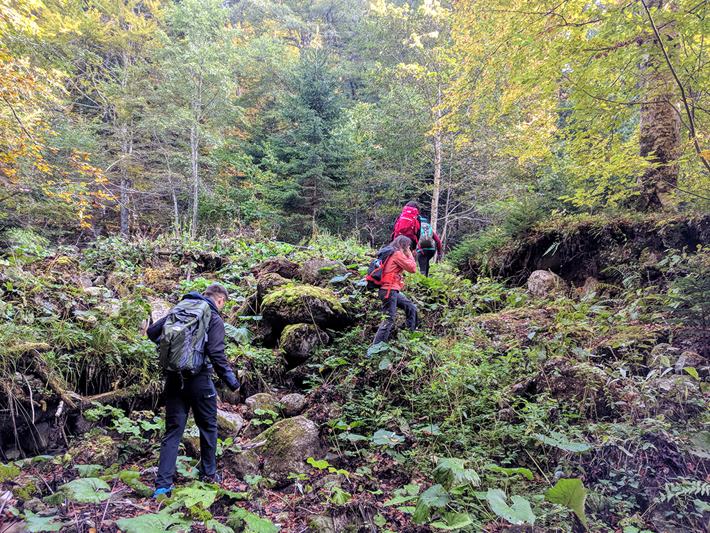 Morarului Valley – a spectacular and wild trail towards the summit of Bucegi