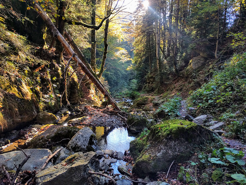 Morarului Valley – a spectacular and wild trail towards the summit of Bucegi