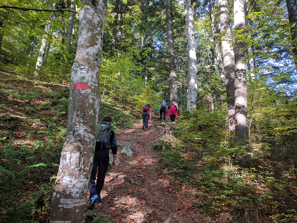 Morarului Valley – a spectacular and wild trail towards the summit of Bucegi