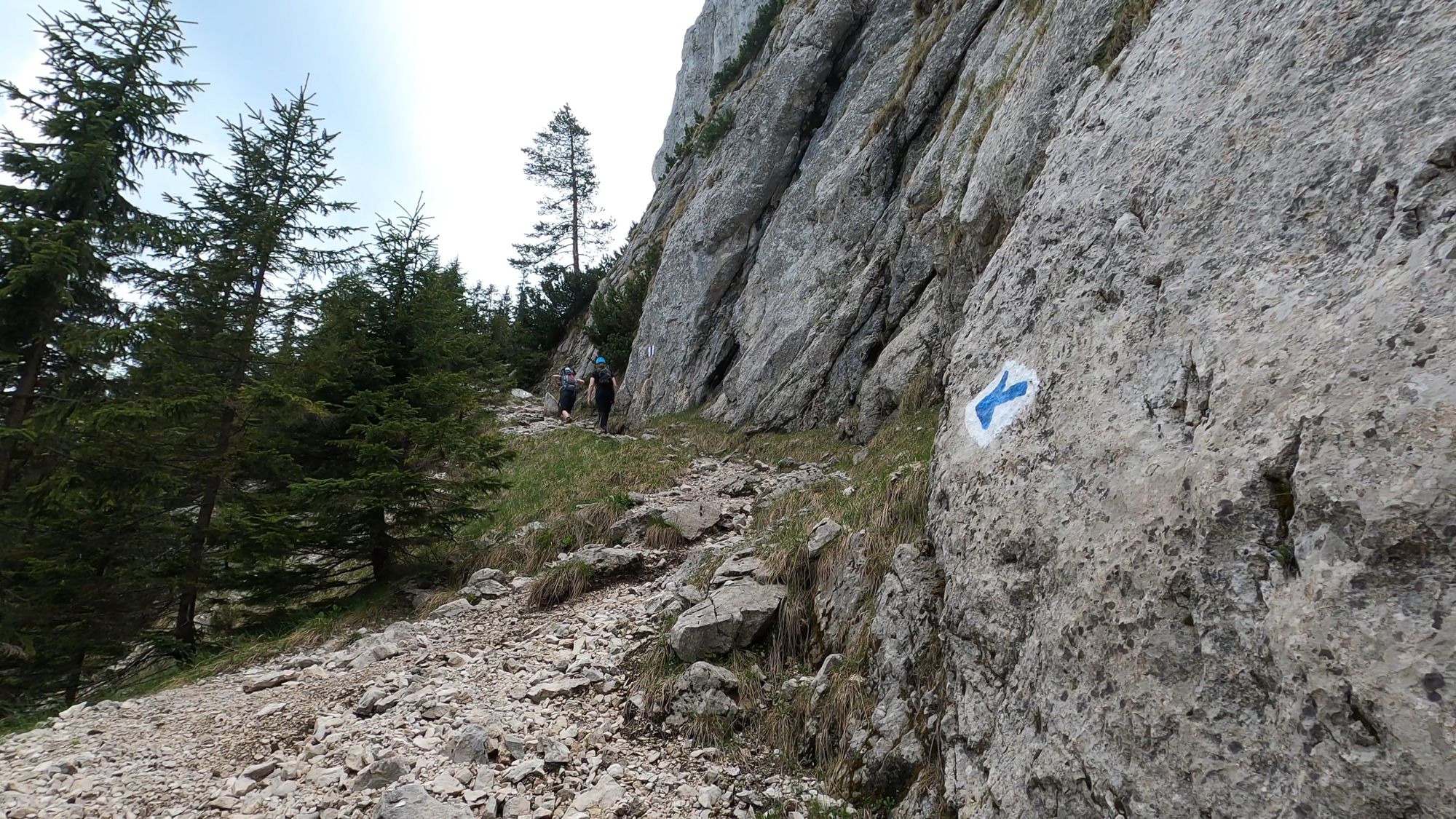 Brâna Caprelor - Brâul Ciorânga. Piatra Craiului, difficult hike