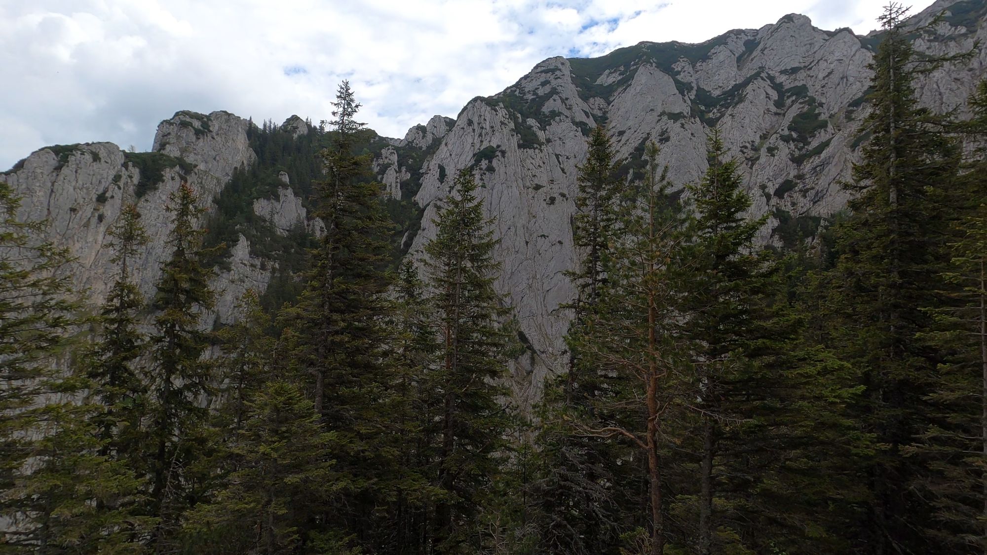 Brâna Caprelor - Brâul Ciorânga. Piatra Craiului, difficult hike