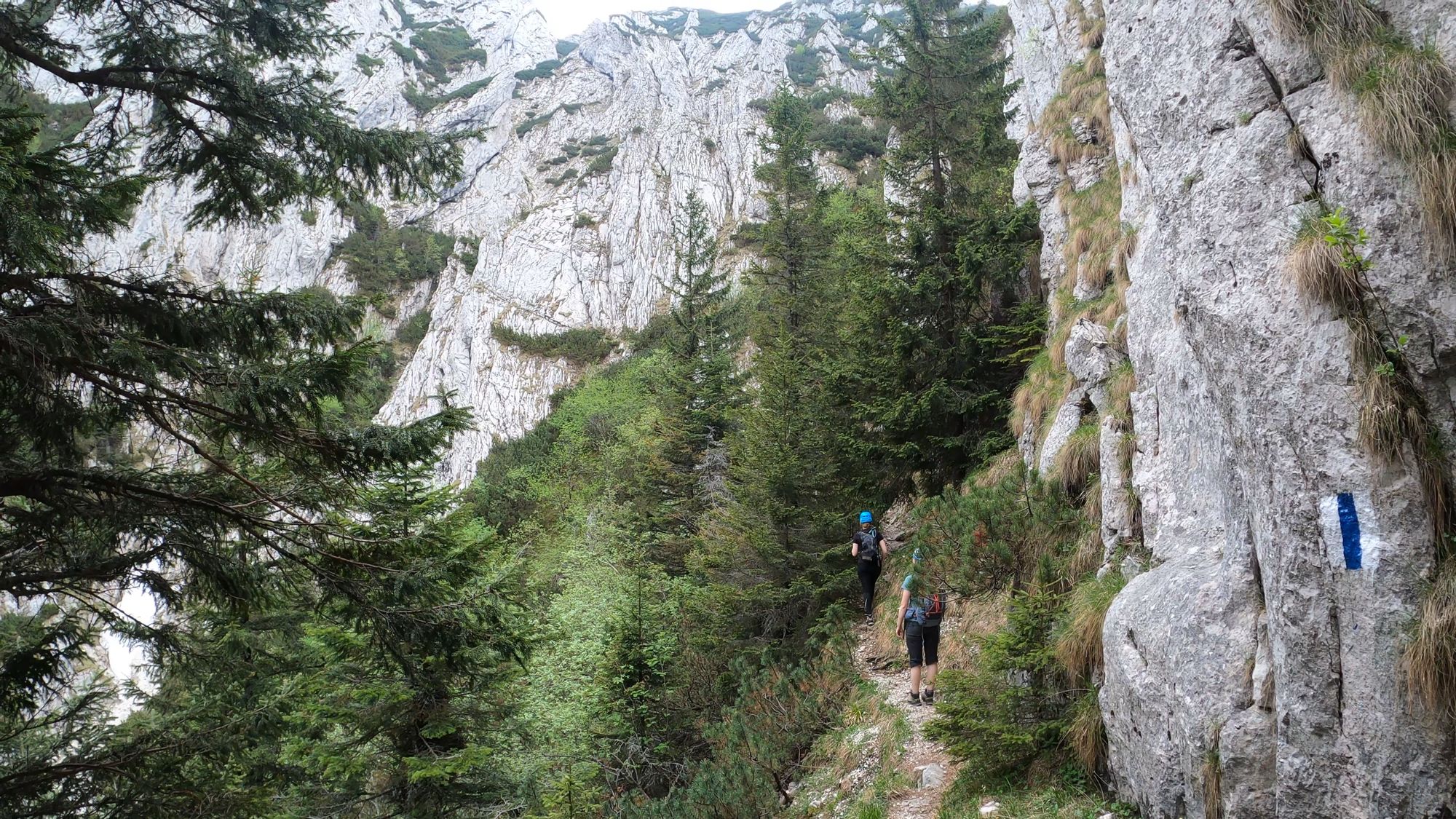 Brâna Caprelor - Brâul Ciorânga. Piatra Craiului, difficult hike