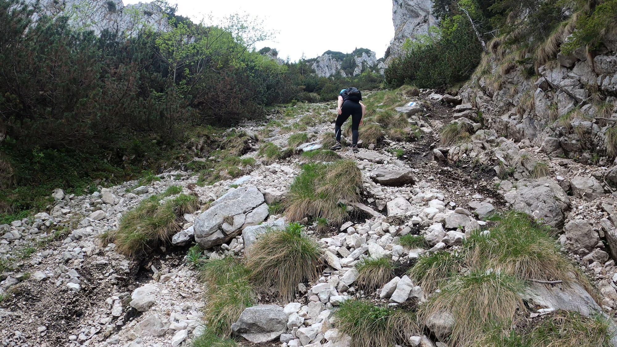 Brâna Caprelor - Brâul Ciorânga. Piatra Craiului, difficult hike