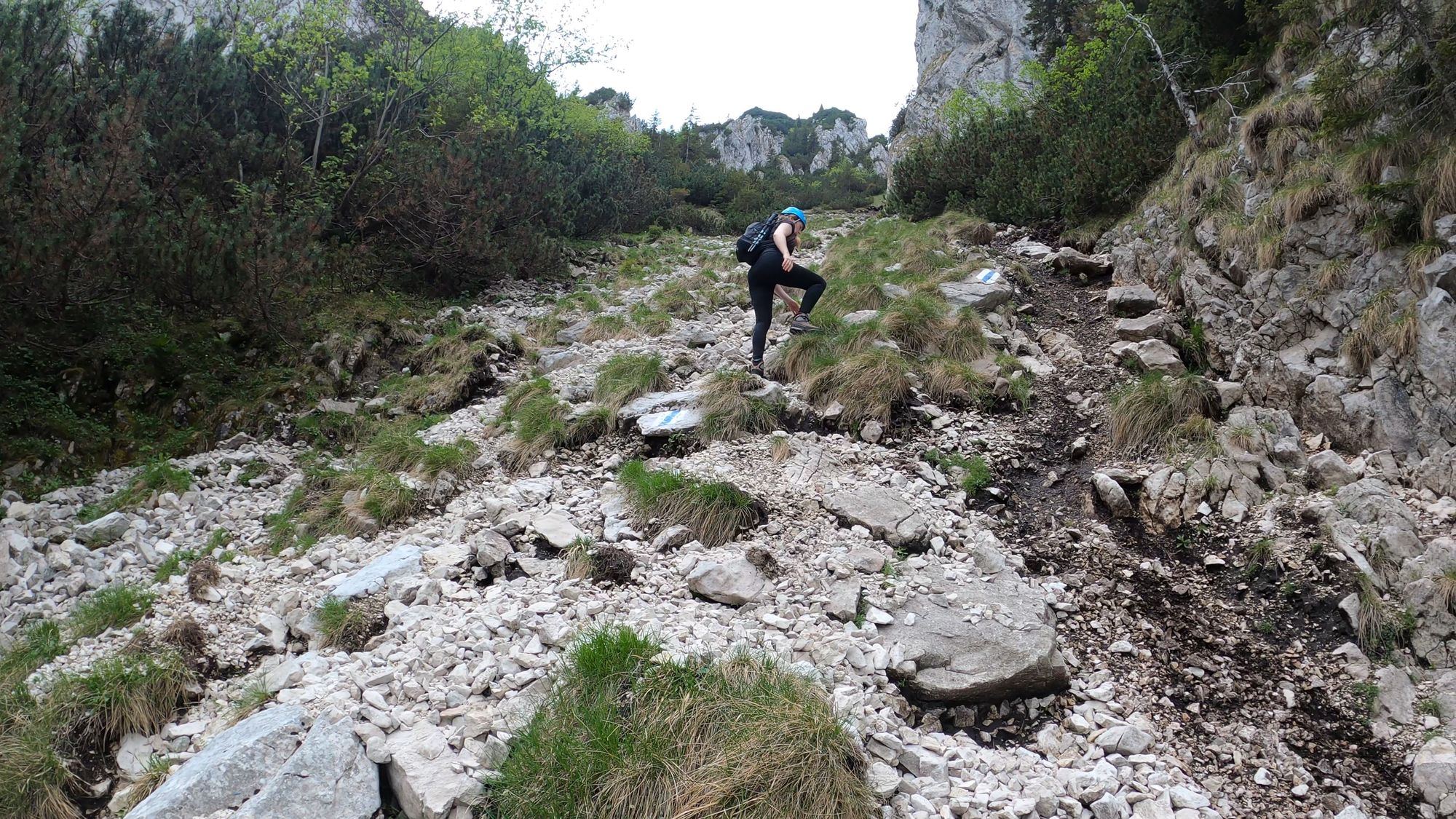 Brâna Caprelor - Brâul Ciorânga. Piatra Craiului, difficult hike