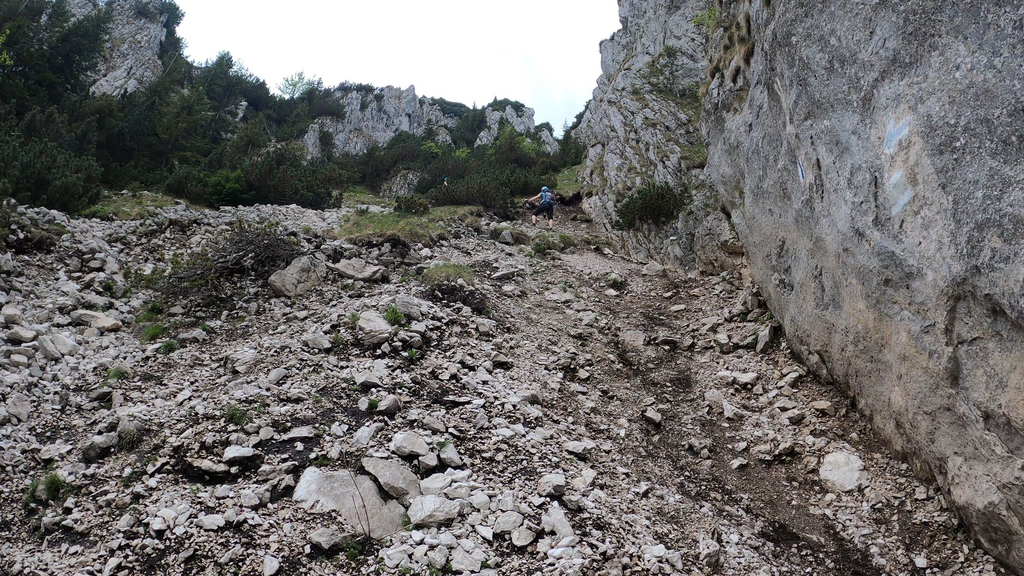 Brâna Caprelor - Brâul Ciorânga. Piatra Craiului, difficult hike