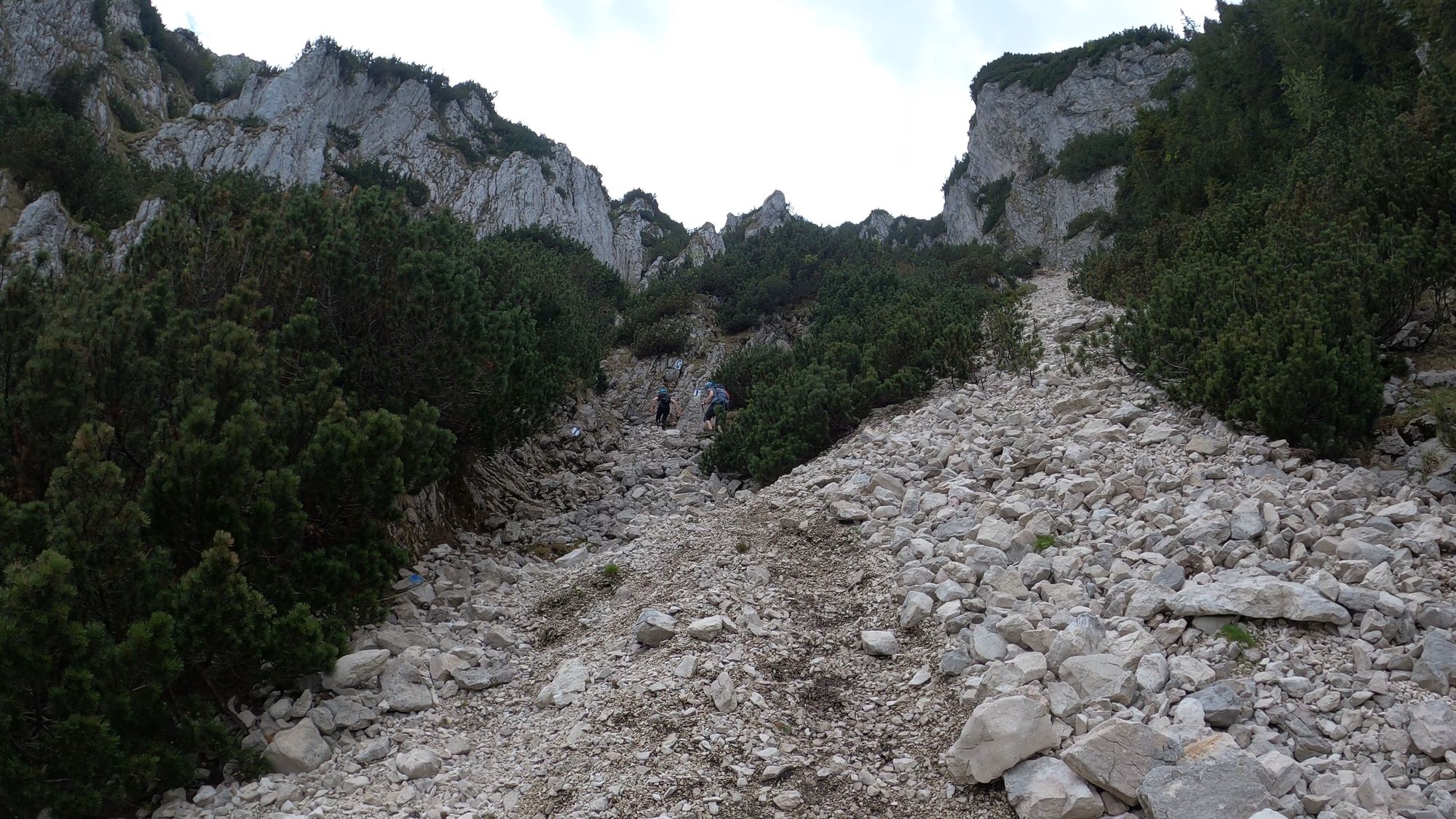 Brâna Caprelor - Brâul Ciorânga. Piatra Craiului, difficult hike