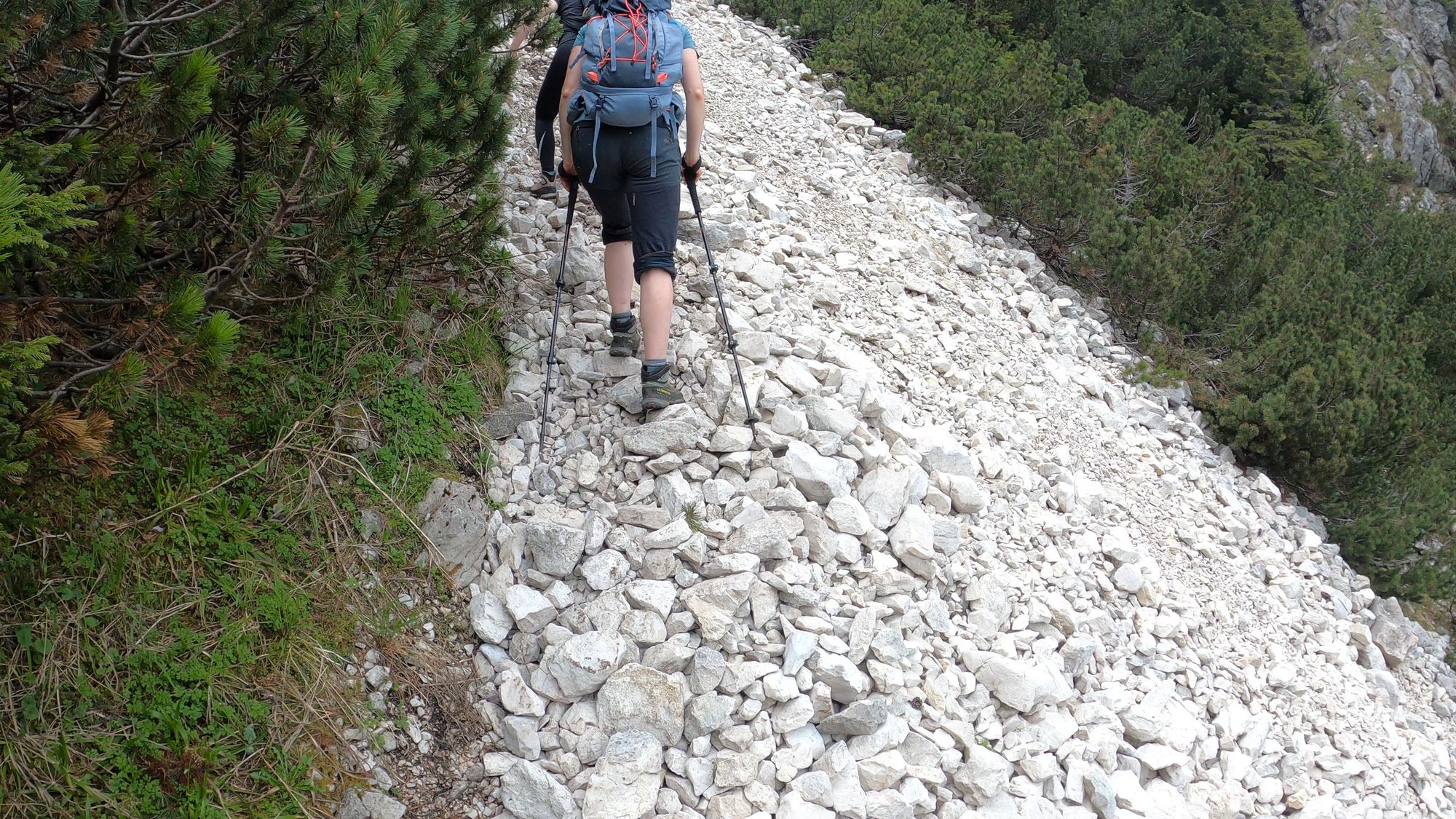 Brâna Caprelor - Brâul Ciorânga. Piatra Craiului, difficult hike