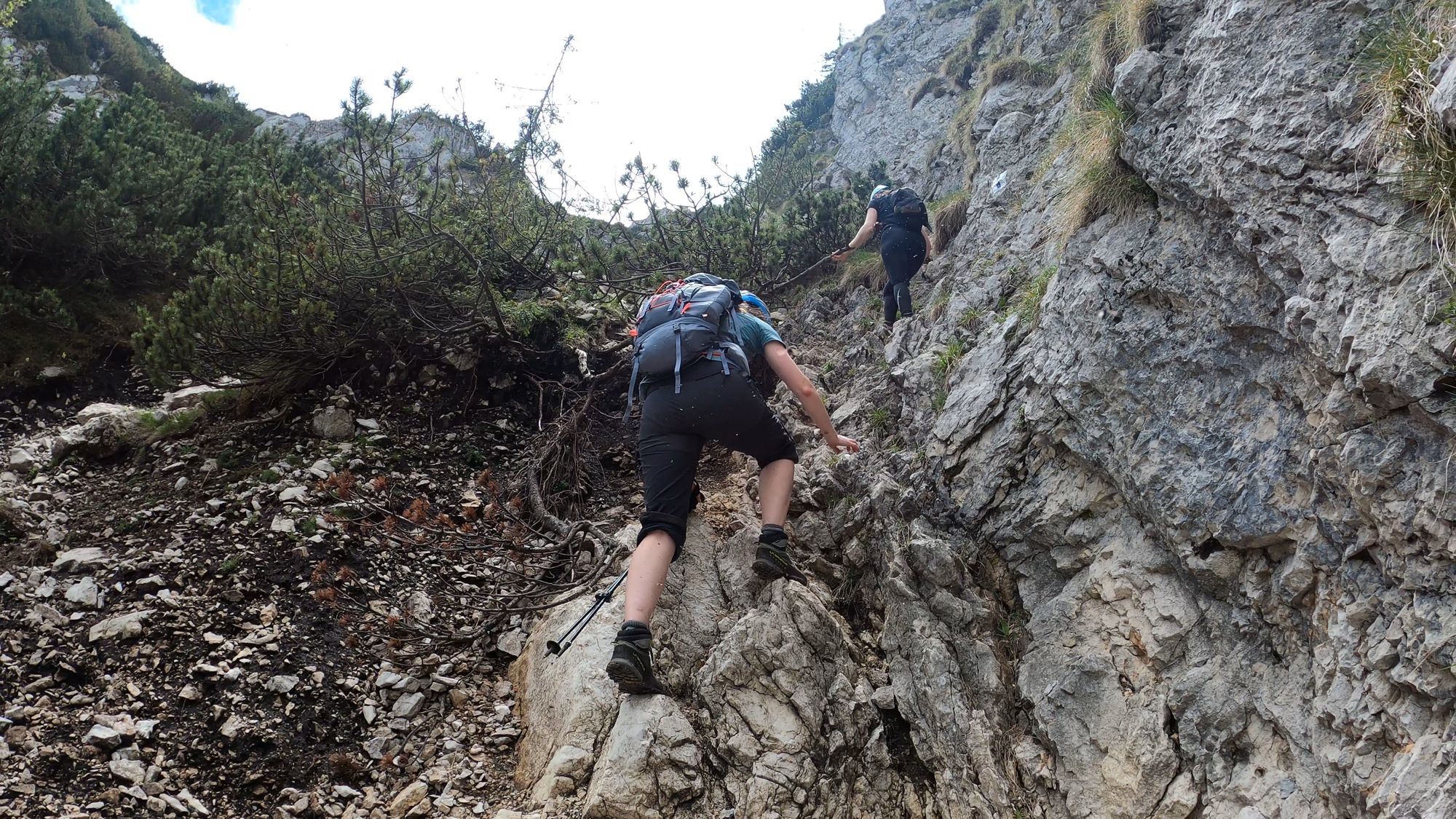 Brâna Caprelor - Brâul Ciorânga. Piatra Craiului, difficult hike