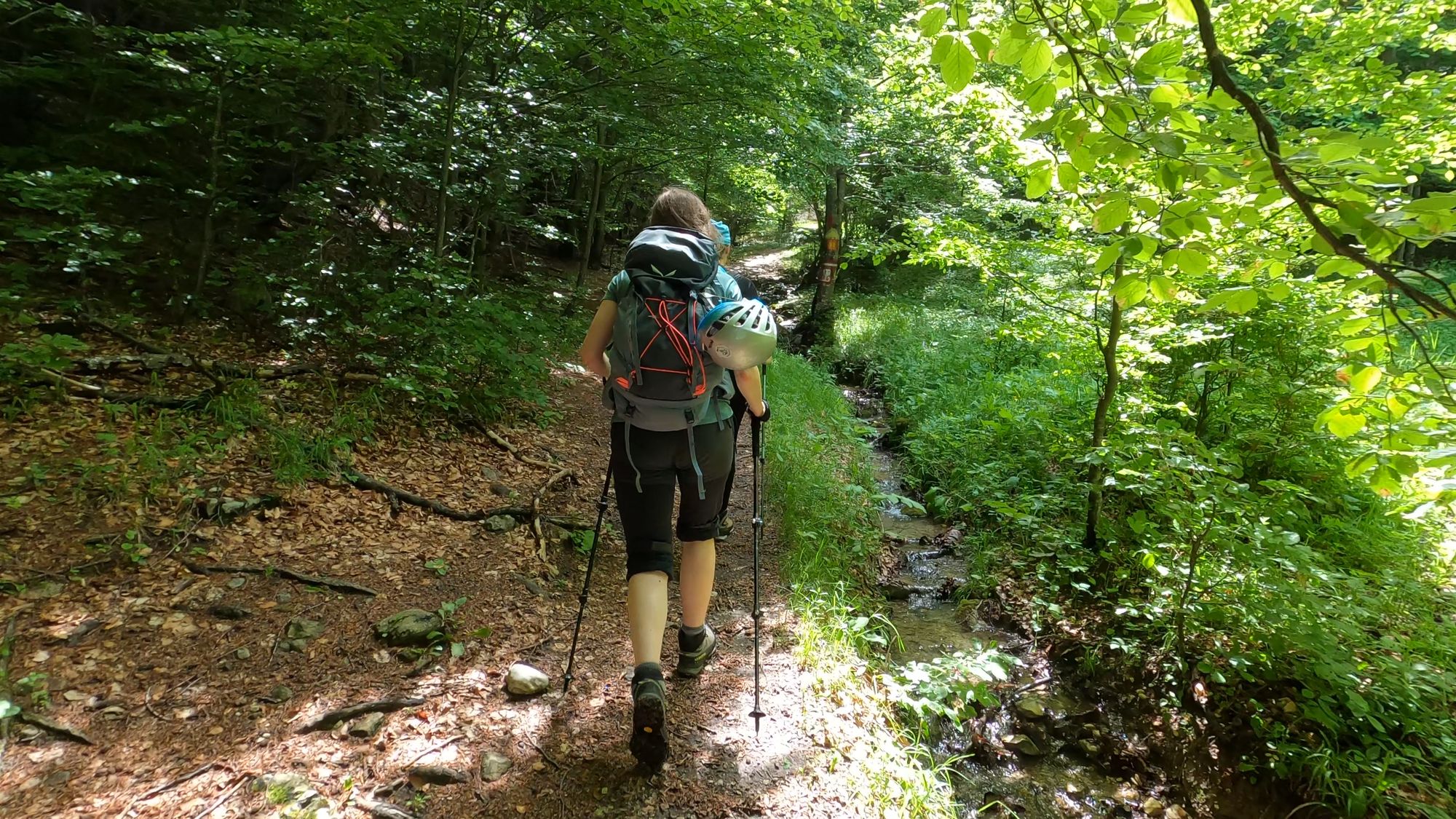 Brâna Caprelor - Brâul Ciorânga. Piatra Craiului, difficult hike