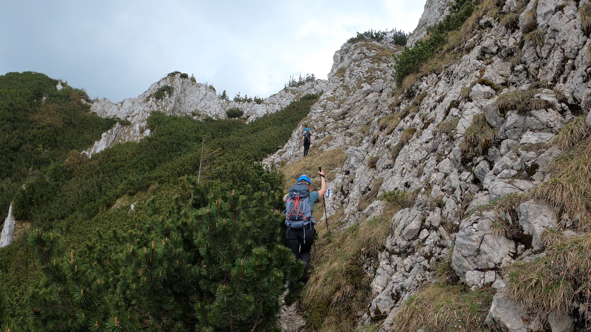 Brâna Caprelor - Brâul Ciorânga. Piatra Craiului, difficult hike