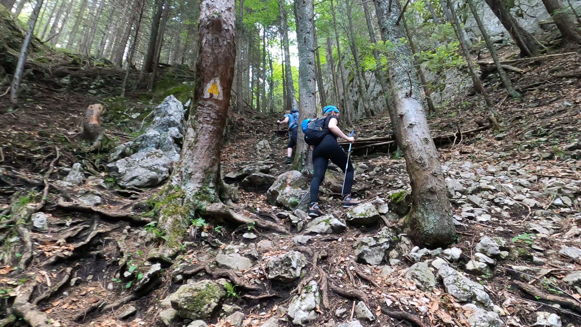 Brâna Caprelor - Brâul Ciorânga. Piatra Craiului, difficult hike