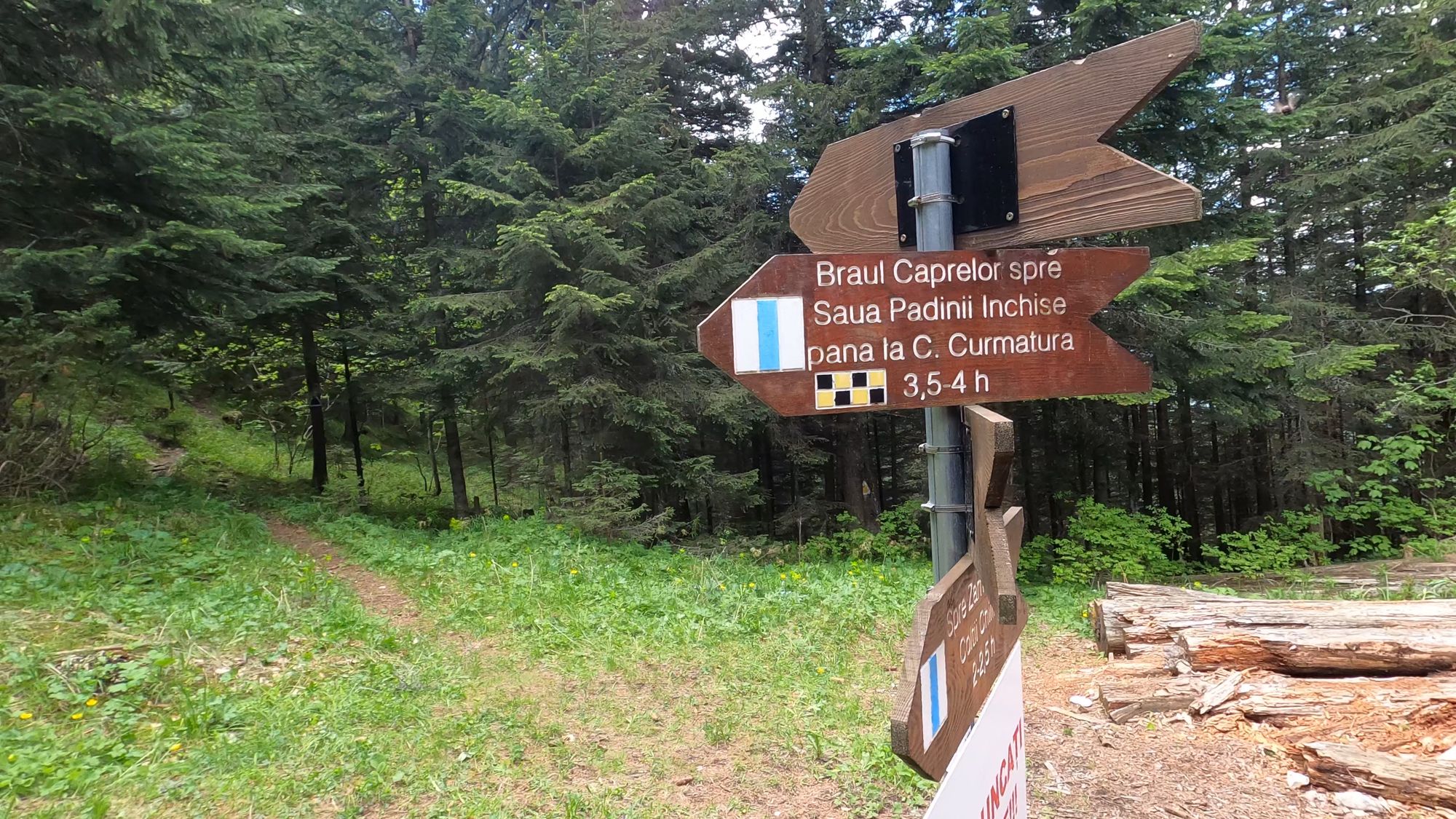 Brâna Caprelor - Brâul Ciorânga. Piatra Craiului, difficult hike