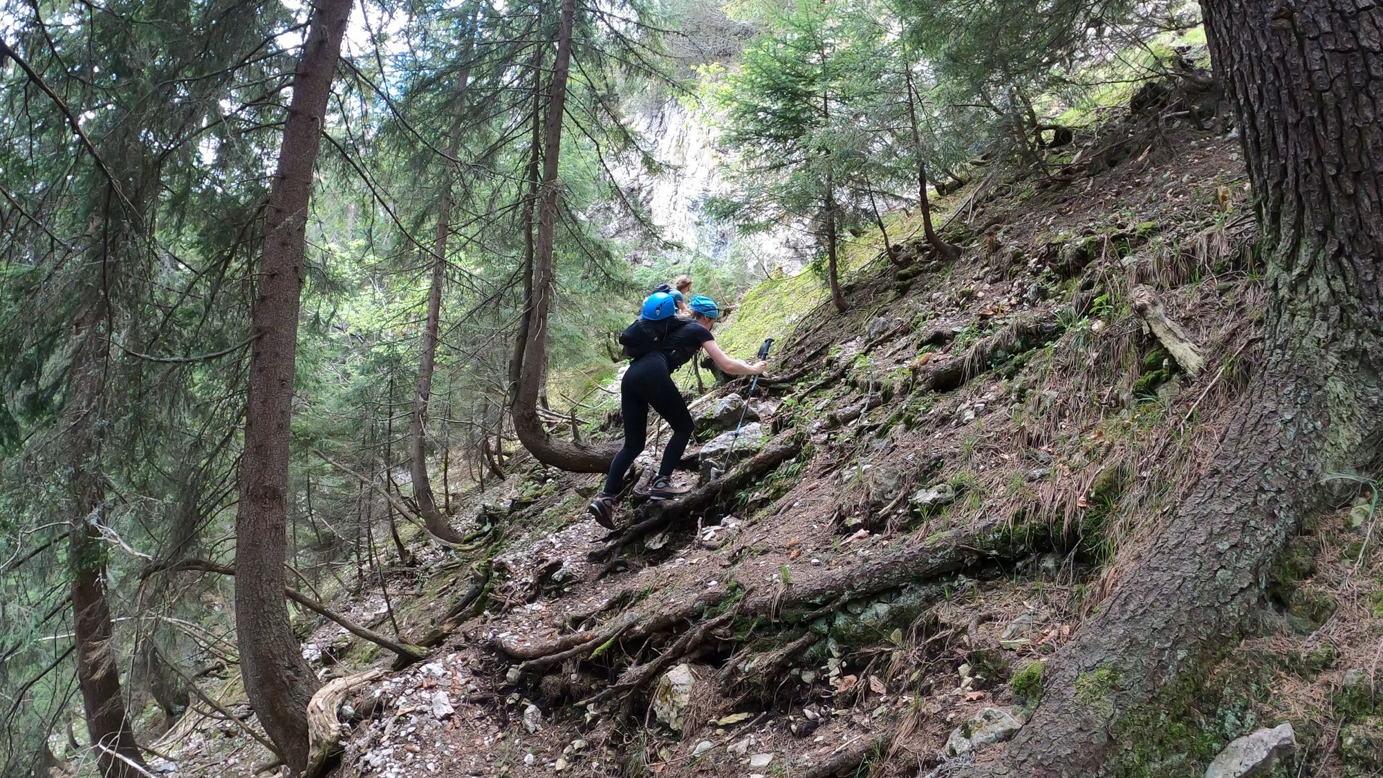 Brâna Caprelor - Brâul Ciorânga. Piatra Craiului, difficult hike