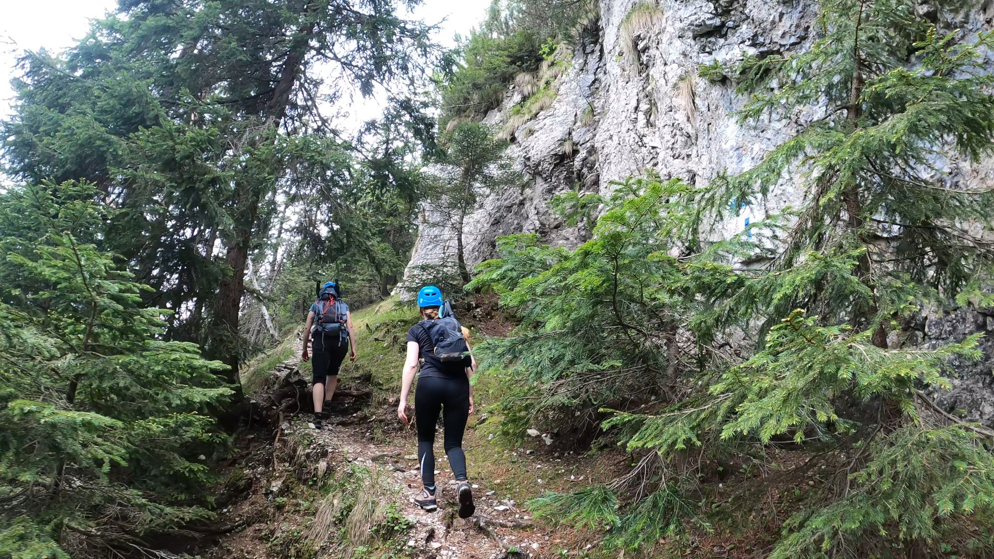 Brâna Caprelor - Brâul Ciorânga. Piatra Craiului, difficult hike