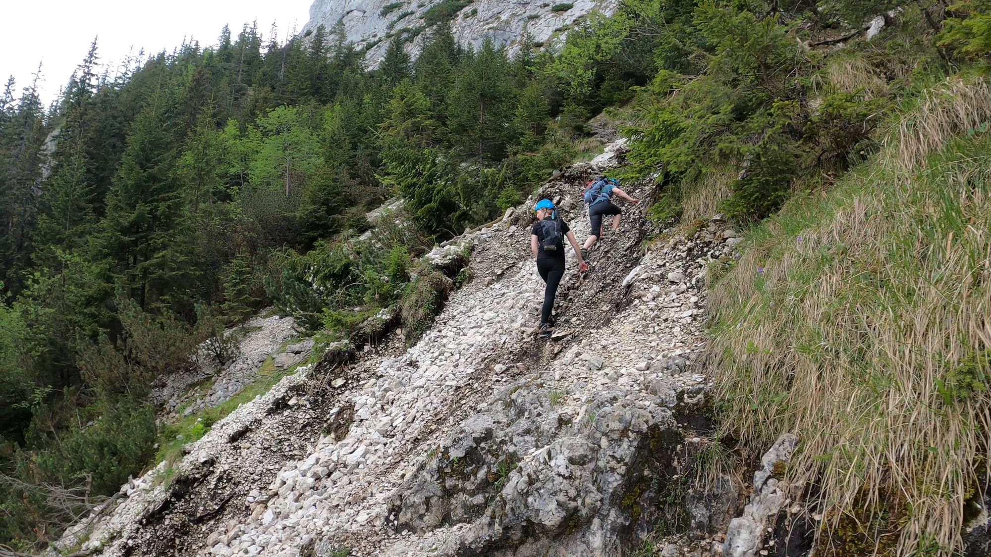 Brâna Caprelor - Brâul Ciorânga. Piatra Craiului, difficult hike