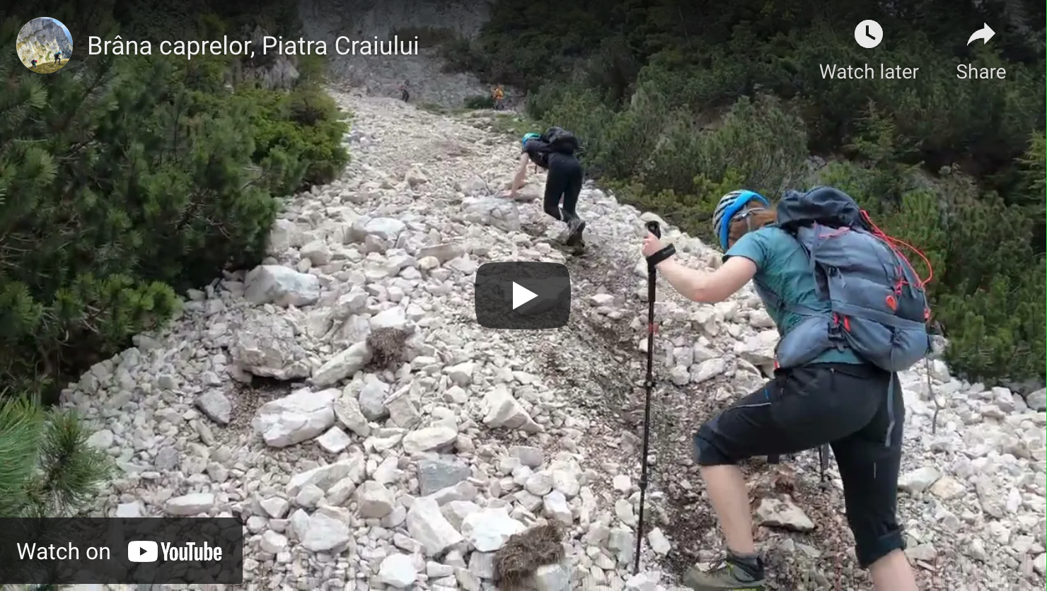 Brâna Caprelor - Brâul Ciorânga. Piatra Craiului, difficult hike