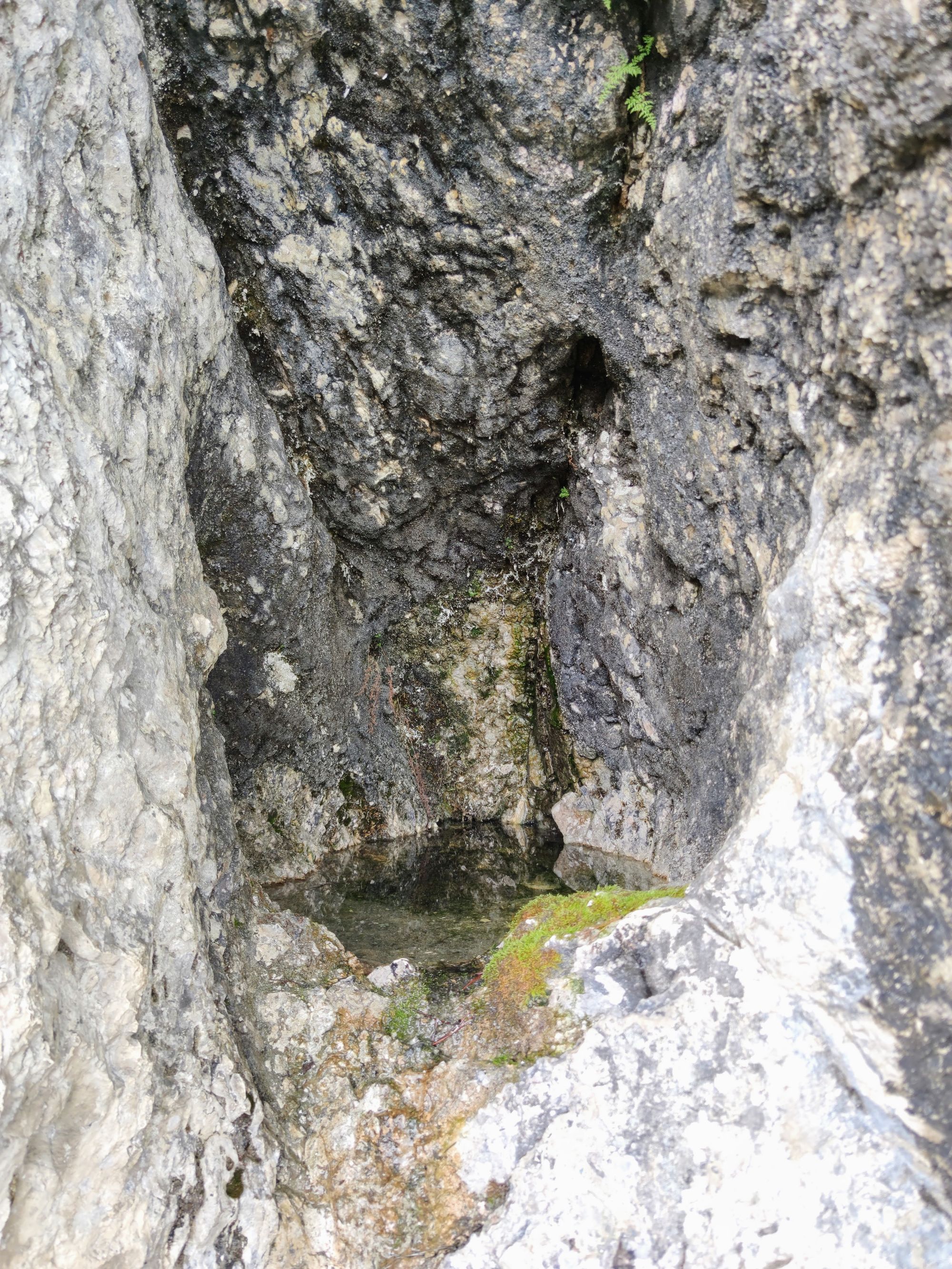 Brâna Caprelor - Brâul Ciorânga. Piatra Craiului, difficult hike