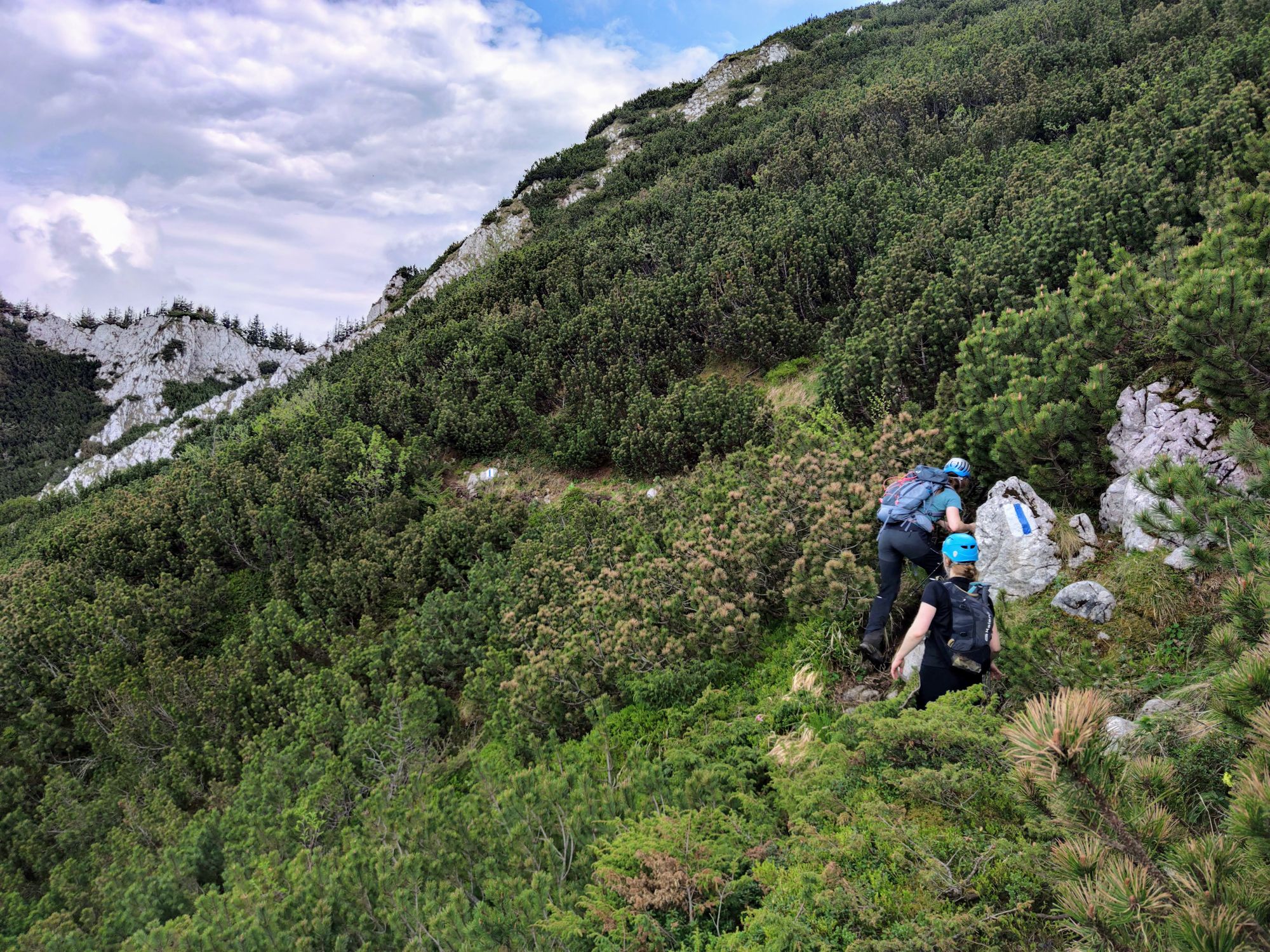 Brâna Caprelor - Brâul Ciorânga. Piatra Craiului, difficult hike