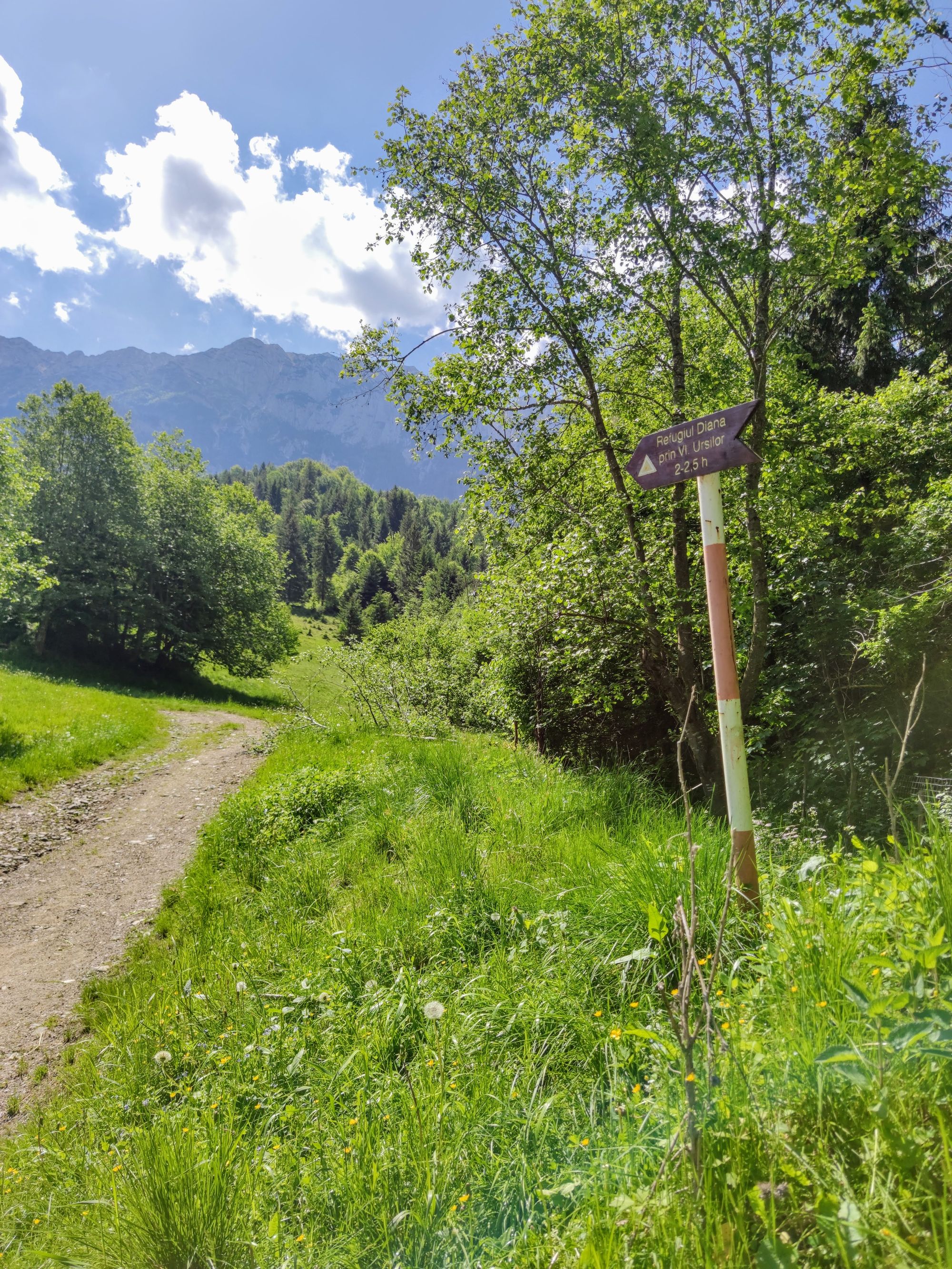 Brâna Caprelor - Brâul Ciorânga. Piatra Craiului, difficult hike