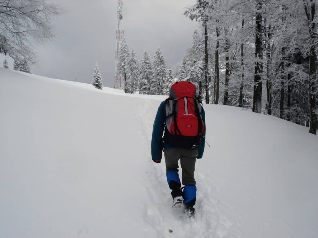 The junction with the Poiana Izvoarelor path