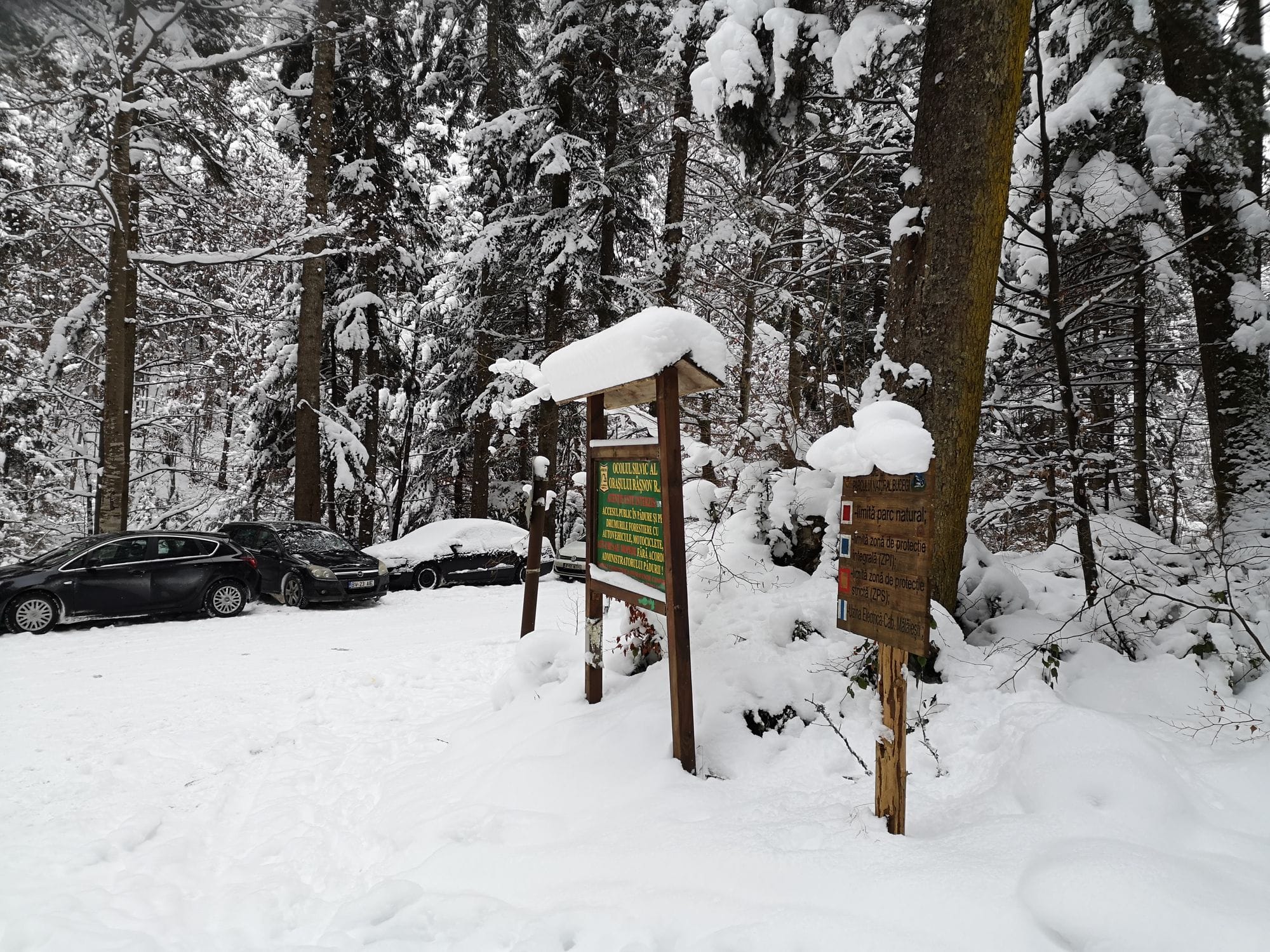 Râșnov to Mălăiești