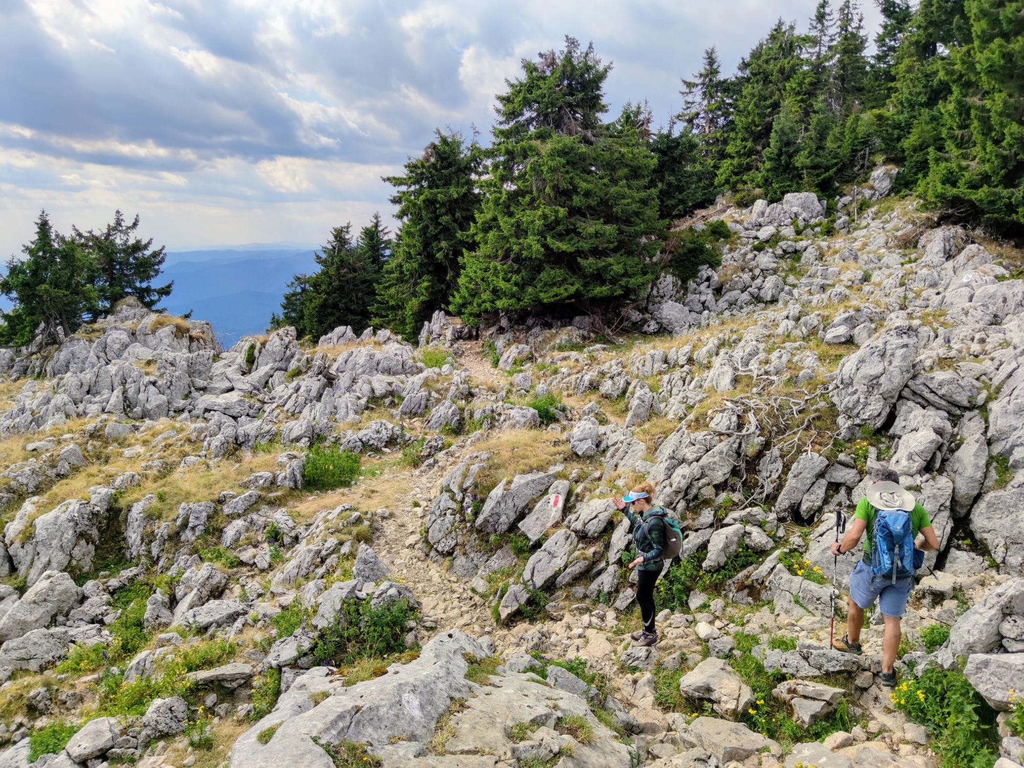 On the crest