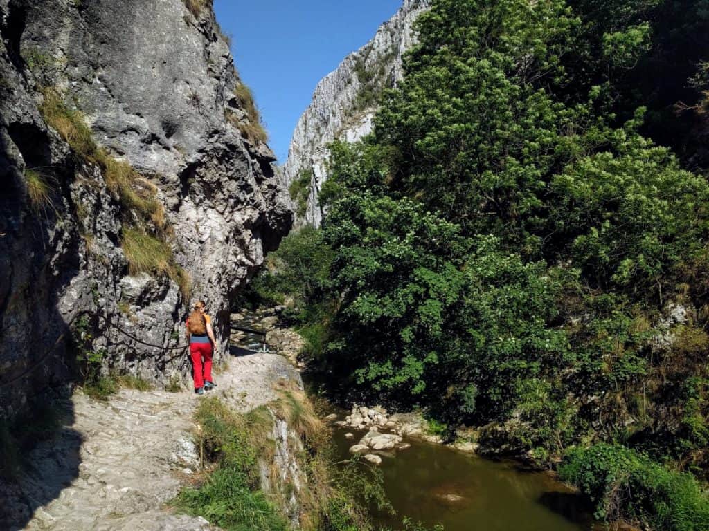 Into the gorge