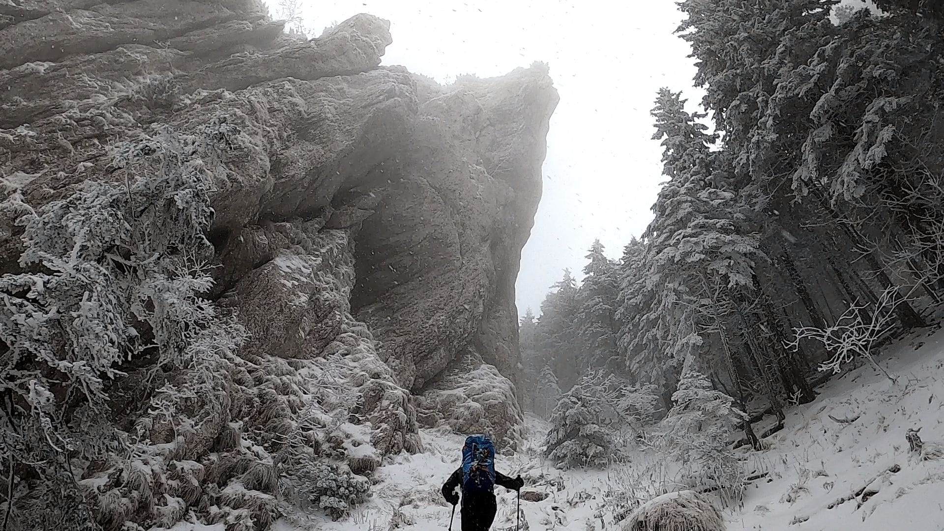 Valea Crăpăturii to Cabana Curmătura