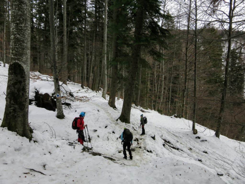 Gura Diham to Cabana Diham: an easy introduction to the Bucegi