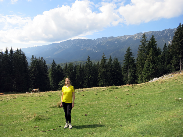 Romania: easy hike near Brasov: From Zarnesti to Cabana Curmatura ...